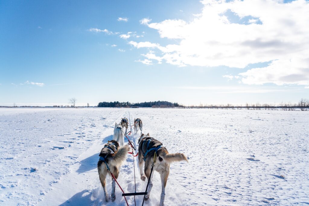 Bilden visar ett hundspann med Dogsledding Sweden. Upplev Jukkasjärvi med Snowmobile tour i Lapland samt hiking tour Sweden.